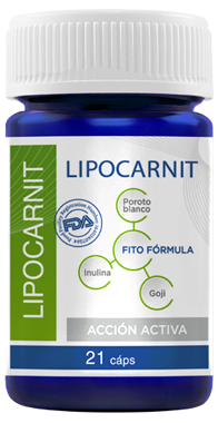 Lipocarnit